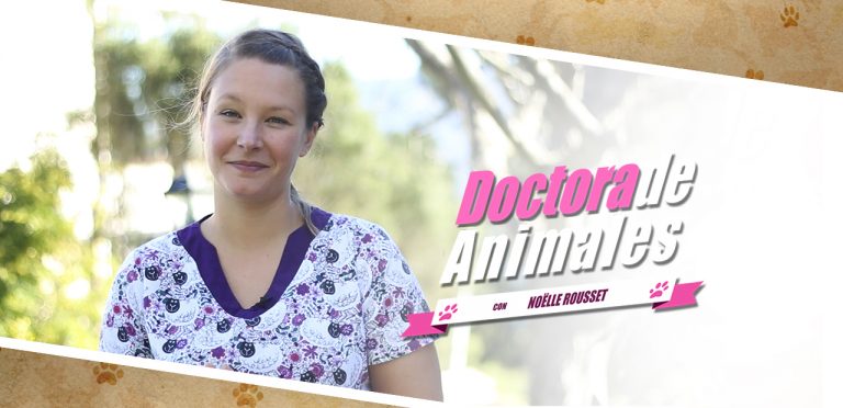 doctoradeanimales