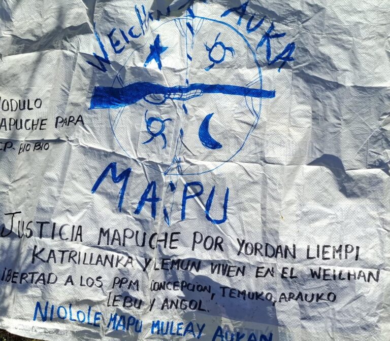 WhatsApp-Image-2024-11-12-at-10.12.24