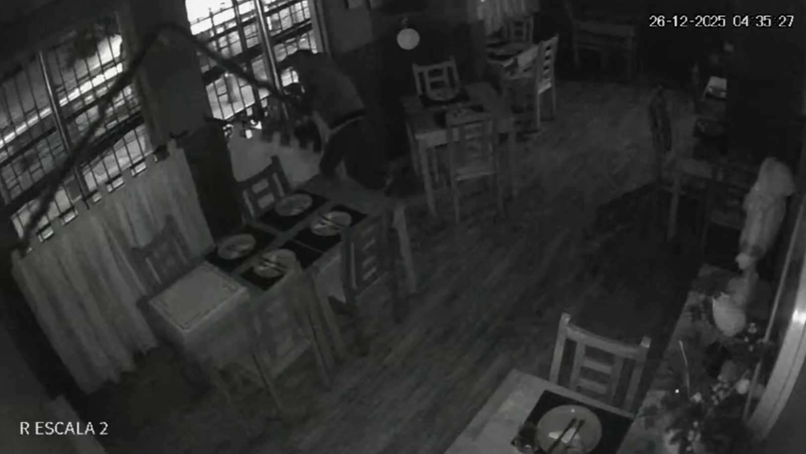 Roban restaurante en centro penquista: ladrón acumula varias detenciones