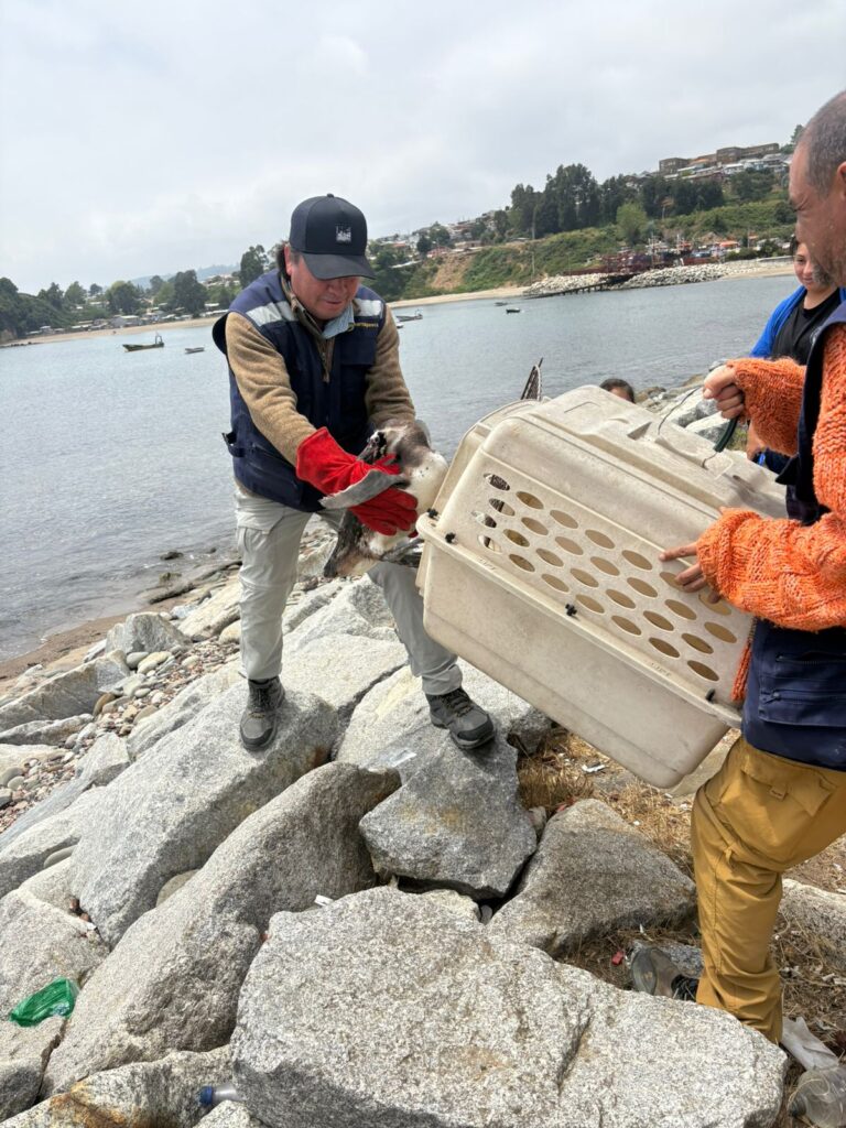 WhatsApp-Image-2026-01-12-at-20.41.22-1