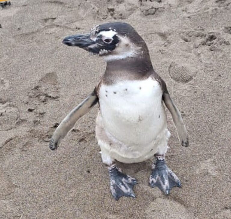 WhatsApp-Image-2026-01-12-at-20.41.28