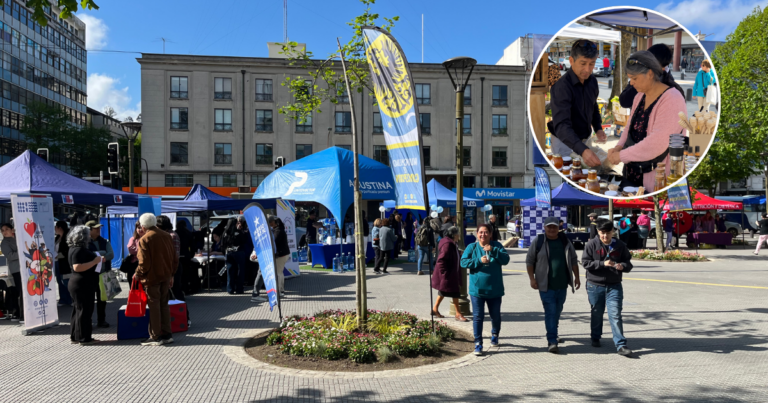 Feria saludable Concepción